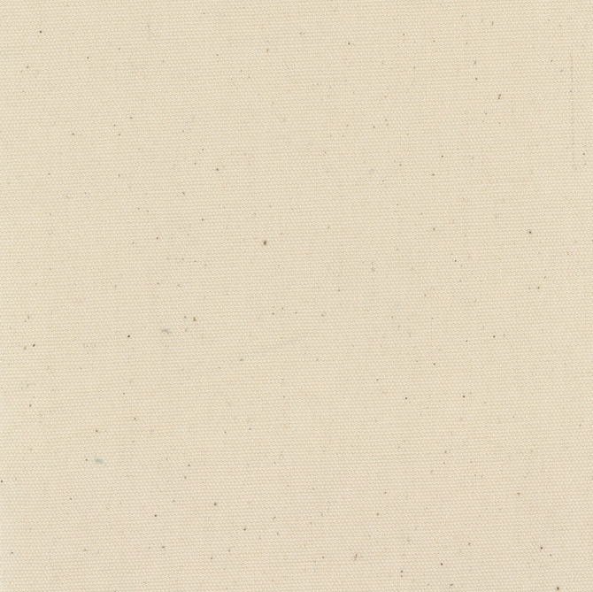 Daydreamer Natural by Carole Designer Fabric Daydreaming 100% Cotton- Soil Release USA Passes 30,000 Double Rubs Wyzenbeek Horizontal: 0 and Vertical: 0 54 - Swanky Fabrics -