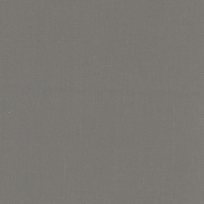 Daydreamer Ash Grey by Carole Designer Fabric Daydreaming 100% Cotton- Soil Release USA Passes 30,000 Double Rubs Wyzenbeek Horizontal: 0 and Vertical: 0 54 - Swanky Fabrics -