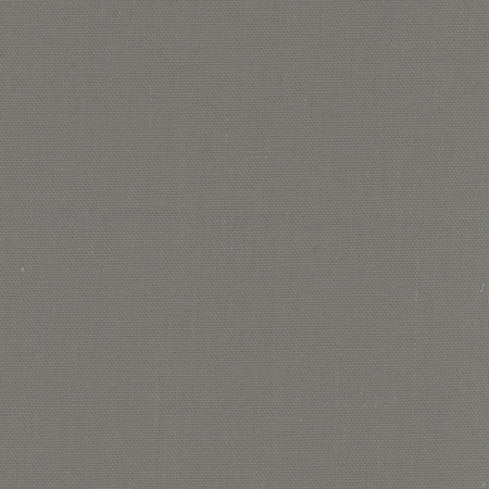 Daydreamer Ash Grey by Carole Designer Fabric Daydreamer III,Daydreaming 100% Cotton, Soil & Stain Release TURKMENISTAN Passes 30,000 Double Rubs Wyzenbeek </p><p>Repeat: NONE 54" - Swanky Fabrics -