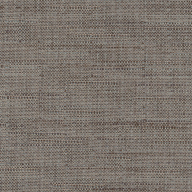 Banksville Flint by Carole Designer Fabric Bigelow 100% Polyester Mexico Passes 18,000 Double Rubs Wyzenbeek Horizontal: 0" and Vertical: 0" 54" - Swanky Fabrics -
