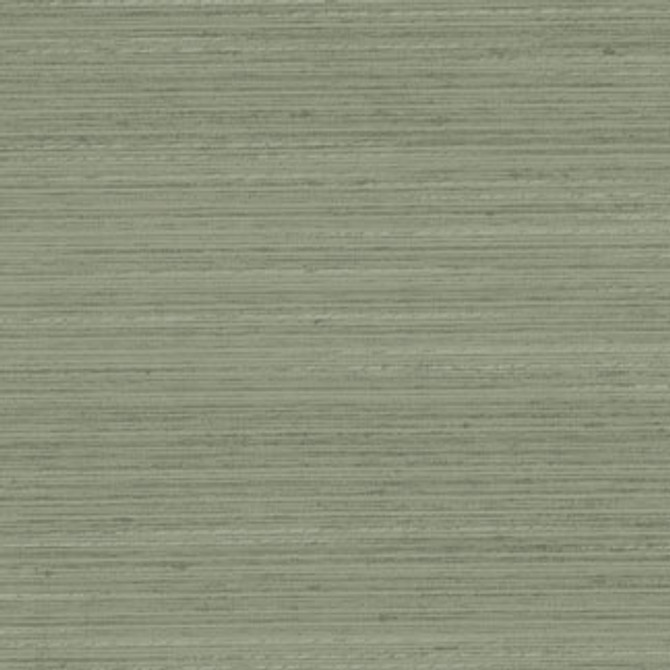 Discreet Silver Sage by Carole Designer Fabric Distinct Drapery,Delight 100% POLYESTER INDIA Passes 20,000 Double Rubs Wyzenbeek Horizontal: 0" and Vertical: 0" 55" - Swanky Fabrics -