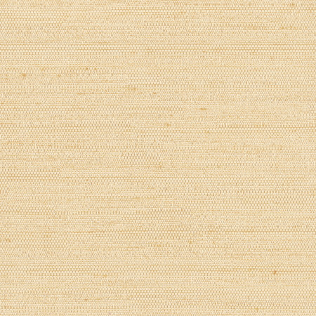 Aiden Bone by Carole Designer Fabric Aiden Gallery,Chestnut,Subtle Hints 100% Polyester INDIA PASSES 30,000 DOUBLE RUBS WYZENBEEK None 56" - Swanky Fabrics -