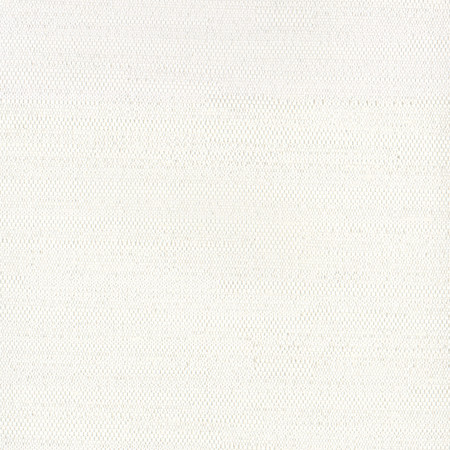 <p>Aiden Off White by Carole Designer Fabric</p><p><strong>Required Minimum Quantity Purchase: 2 yards</strong></p><p>Book: Aiden Gallery,Opal,Subtle Hints,Sea Salt</p><p>Content: 100% Polyester</p><p>Origin: </p><p>Performance: N/A</p><p>Repeat: None</p><p>Width: 54"</p>