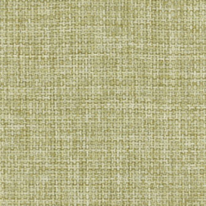 Director's Cut Grass by Carole Designer Fabric NARRATOR 100% Polyester Turkey None 58" - Swanky Fabrics -