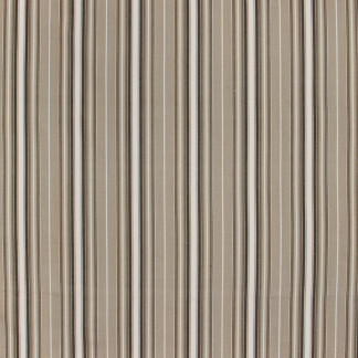 Rehearsal Oyster by Carole Designer Fabric In Tune 100% Cotton India N/A 6 3/4" H 54" - Swanky Fabrics -