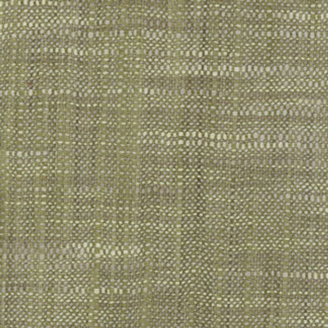 Wiseman Grass by Carole Designer Fabric Class Historian 100% Polyester India N/A Horizontal: 0" and Vertical: 0" 54" - Swanky Fabrics -