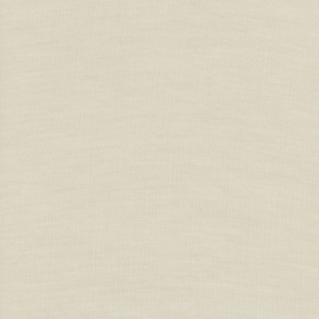 Gotcha Covered Ivory by Carole Designer Fabric SHEER STRUCTURE 66% Polyester, 34% Cotton France N/A </p><p>Repeat: None 118" - Swanky Fabrics -