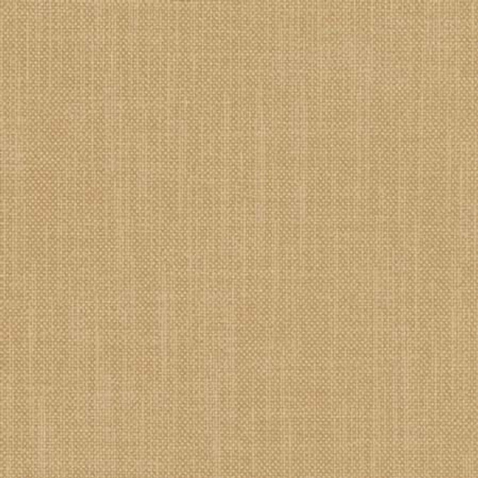 Liberty Cashew by Carole Designer Fabric Liberty,Liberty II 100% Polyester India None 54" - Swanky Fabrics -