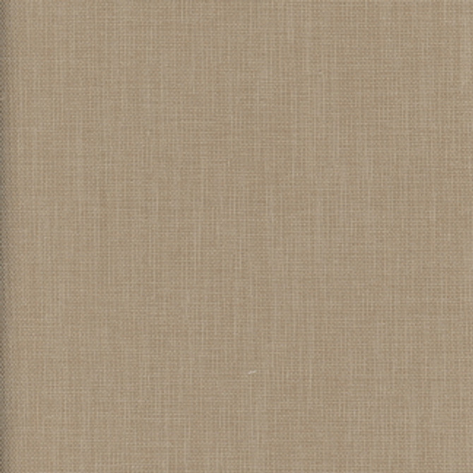 Liberty Latte by Carole Designer Fabric Liberty 100% Polyester India Passes 50,000 Double Rubs Wyzenbeek Horizontal: None and Vertical: None 54" - Swanky Fabrics -