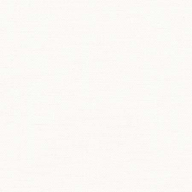 Liberty Snow by Carole Designer Fabric Liberty,Liberty II 100% Polyester India Passes 50,000 Double Rubs Wyzenbeek None 54" - Swanky Fabrics -