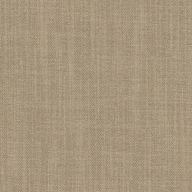 Liberty Toast by Carole Designer Fabric Liberty,Liberty II 100% Polyester India None 54" - Swanky Fabrics -