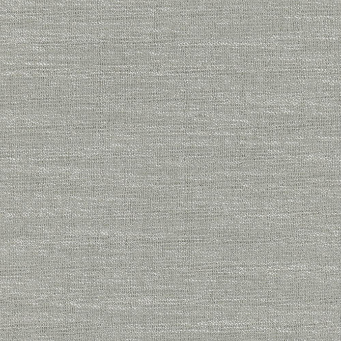 Say Yes Glacier by Carole Designer Fabric Winner'S Circle 78% Polyester, 22% Viscose India N/A Horizontal: 0 and Vertical: 0 55 - Swanky Fabrics -