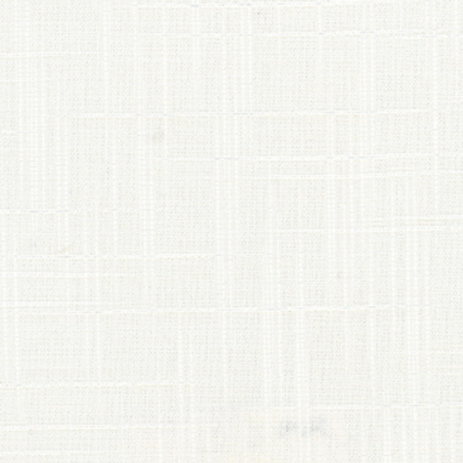 Montoya Swan by Carole Designer Fabric Sandblasted 88% Polyester, 9% Rayon, 3% Cotton India Passes 30,000 Double Rubs Wyzenbeek None 55" - Swanky Fabrics -