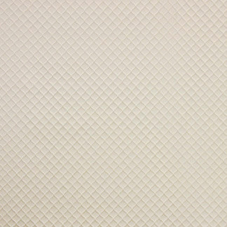 Contemplation Ivory by Carole Designer Fabric Silver Screen 100% Polyester China Passes 15,000 Double Rubs Wyzenbeek NONE 55" - Swanky Fabrics -