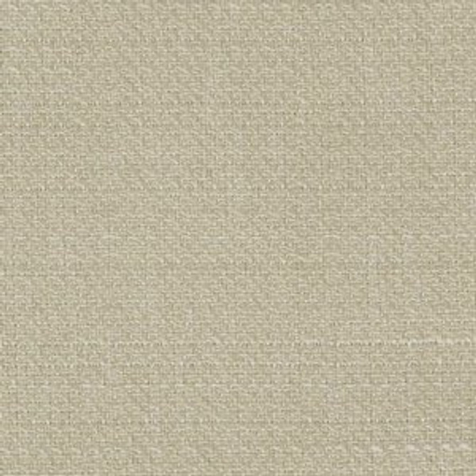 Bellamy Sand Dollar 10 by Norbar Designer Fabric BURMA 100% POLYESTER TAIWAN 54 - Swanky Fabrics -