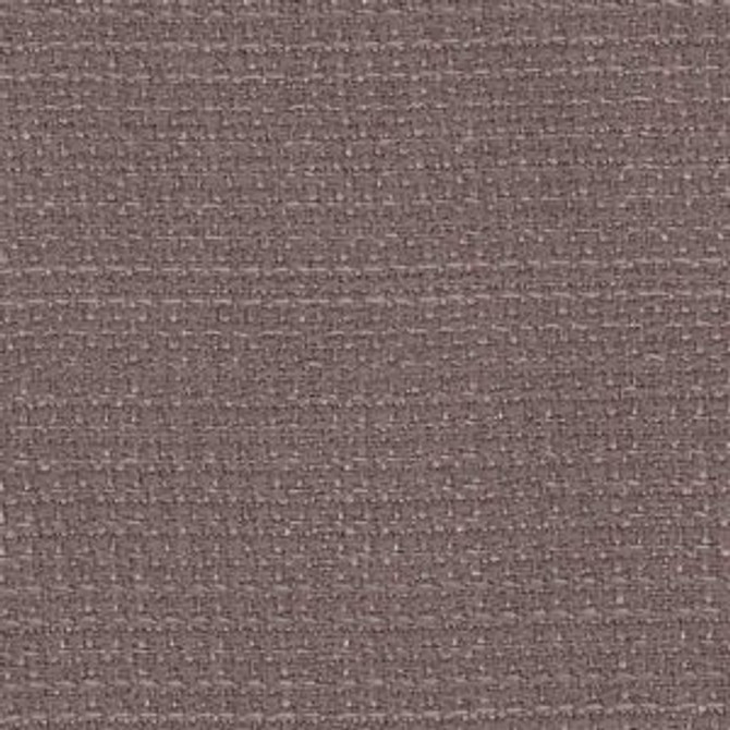 Bellamy Silverberry 72 by Norbar Designer Fabric BURMA 100% POLYESTER TAIWAN 54 - Swanky Fabrics -
