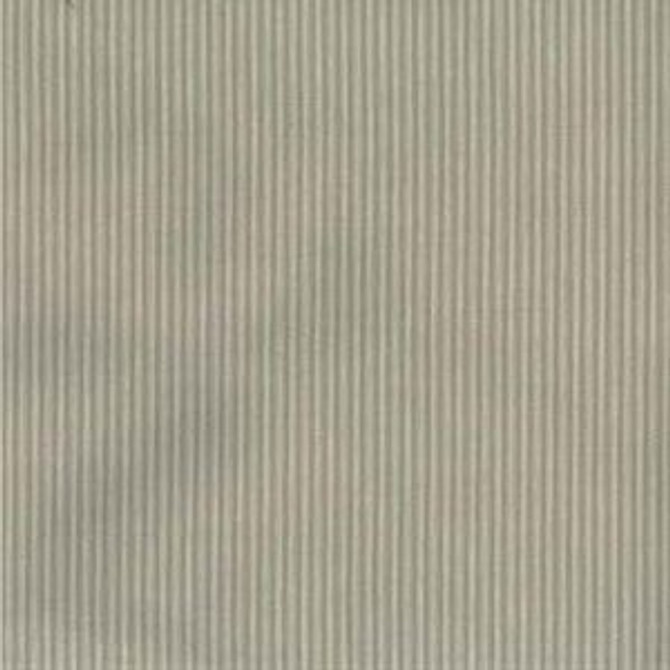 Boaz Putty 205 by Norbar Designer Fabric 100% COTTON H-.125" 54" - Swanky Fabrics -