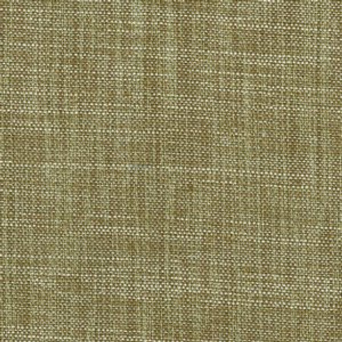 Burma Algae 52 by Norbar Designer Fabric BURMA 100% POLYESTER INDIA 54 - Swanky Fabrics -