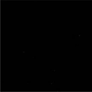 Cancun Onyx by Norbar Designer Fabric 100% POLYESTER INDIA 54" - Swanky Fabrics -