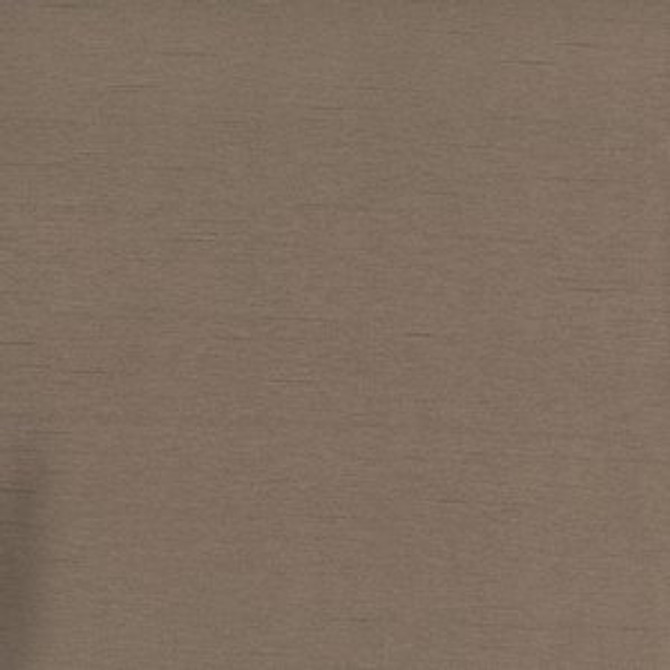 Caprio Brass by Norbar Designer Fabric 100% POLYESTER INDIA 54 - Swanky Fabrics -