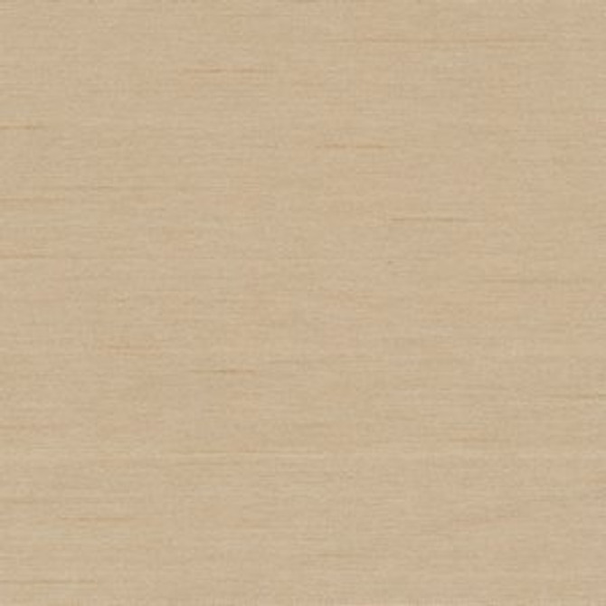 Cargo Camel by Norbar Designer Fabric 100 POLYESTER TAIWAN 54 - Swanky Fabrics -