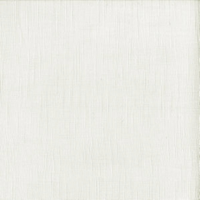 Farrow Champagne by Norbar Designer Fabric SHEER TRENDS 100% POLYESTER CHINA 118" - Swanky Fabrics -