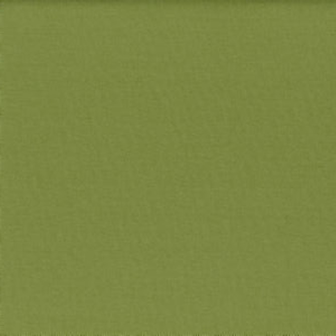 Lenox Sprout by Norbar Designer Fabric 100% COMBED COTTON INDIA 54 - Swanky Fabrics -