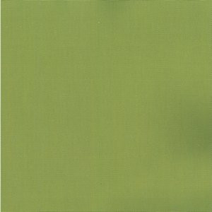 Pablo Leaf 280 by Norbar Designer Fabric PABLO 100% COTTON TURKMANISTAN 54" - Swanky Fabrics -