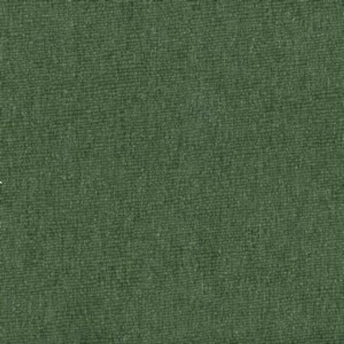 Rambo Arugula by Norbar Designer Fabric 51% COTTON 49% POLYESTER TAIWAN 54 - Swanky Fabrics -