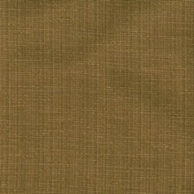 Sandu Almond 11 by Norbar Designer Fabric 100% POLYESTER INDIA 55 - Swanky Fabrics -