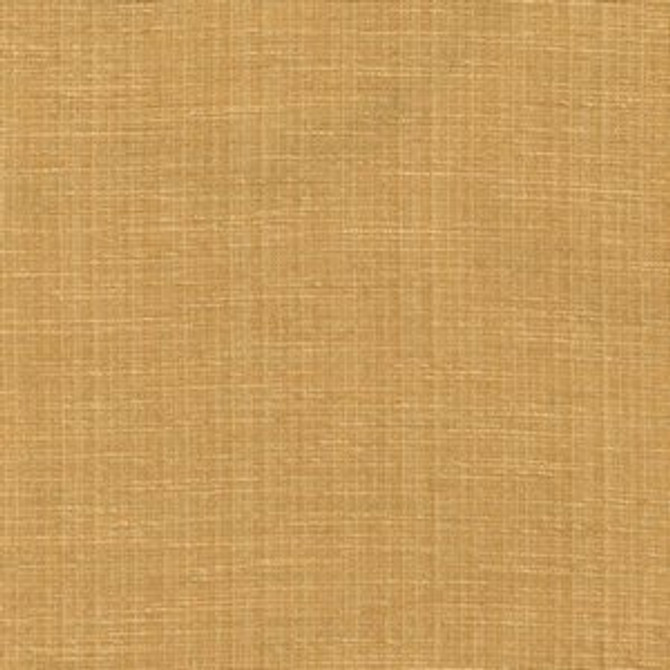 Sandu Saffron 9 by Norbar Designer Fabric 100% POLYESTER INDIA 55 - Swanky Fabrics -
