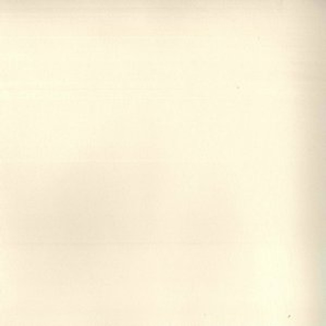 Tally Vanilla 61 by Norbar Designer Fabric ENVICTA 100% POLYURETHANE CHINA 54 - Swanky Fabrics -