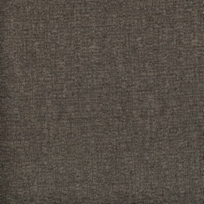 Tarpon Sable by Norbar Designer Fabric 87% POLYESTER 13% COTTON INDIA 54 - Swanky Fabrics -