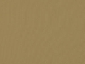 Zolic Sandstone 118 by Norbar Designer Fabric HEAT WAVE 100% POLYPROPYLENE TURKEY 54 - Swanky Fabrics -