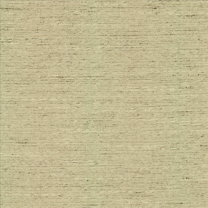 Adjoin Ecru by Kasmir Designer Fabric 5170 100% Polyester
 INDIA 5,000 Wyzenbeek Double Rubs </p><p>Repeat: Horizontal: N/A and Vertical: N/A 54 - Swanky Fabrics -