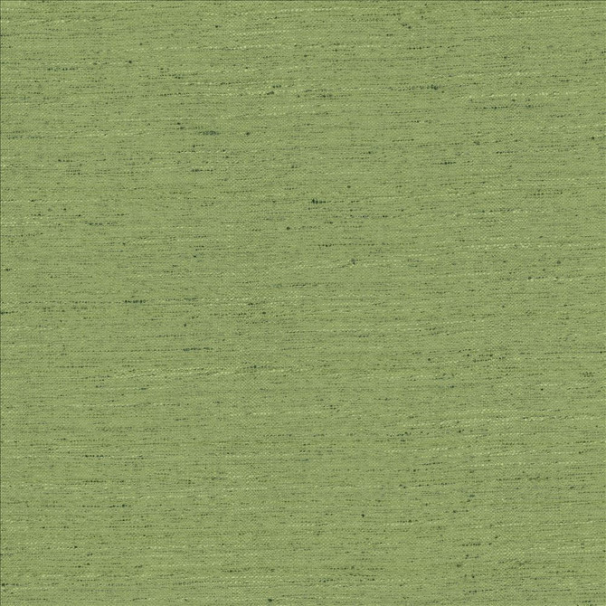 Adjoin Green by Kasmir Designer Fabric 5170 100% Polyester
 INDIA 5,000 Wyzenbeek Double Rubs </p><p>Repeat: Horizontal: N/A and Vertical: N/A 54 - Swanky Fabrics -
