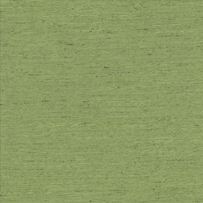 Adjoin Green by Kasmir Designer Fabric 5170 100% Polyester
 INDIA 5,000 Wyzenbeek Double Rubs </p><p>Repeat: Horizontal: N/A and Vertical: N/A 54 - Swanky Fabrics -