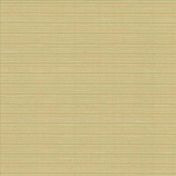 Burke Beeswax  by Kasmir Designer Fabric 5163 100% Polyester
 INDIA Not Tested Horizontal: N/A and Vertical: N/A 54  - Swanky Fabrics -