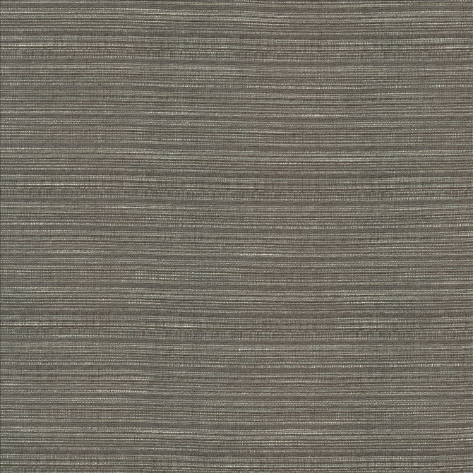 Burke Graphite  by Kasmir Designer Fabric 5163 100% Polyester
 INDIA Not Tested Horizontal: N/A and Vertical: N/A 54  - Swanky Fabrics -