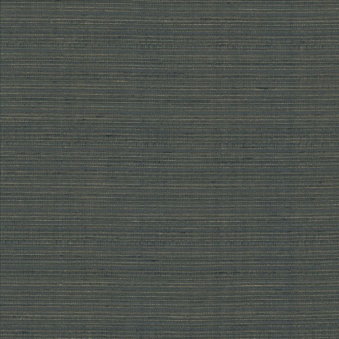 Burke Pewter by Kasmir Designer Fabric 5163 100% Polyester
 INDIA </p><p>Repeat: Horizontal: N/A and Vertical: N/A 54 - Swanky Fabrics -