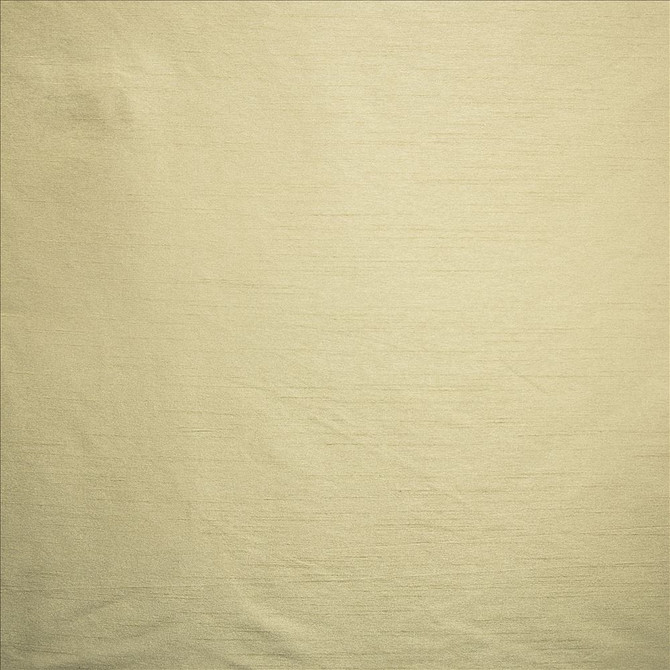 Complementary Birch by Kasmir Designer Fabric 5168 100% Polyester
 INDIA </p><p>Repeat: Horizontal: N/A and Vertical: N/A 54 - Swanky Fabrics -