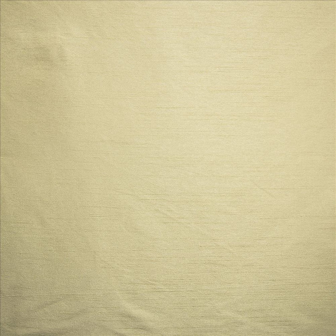 Complementary Birch by Kasmir Designer Fabric 5168 100% Polyester
 INDIA Not Tested </p><p>Repeat: Horizontal: N/A and Vertical: N/A 54 - Swanky Fabrics -