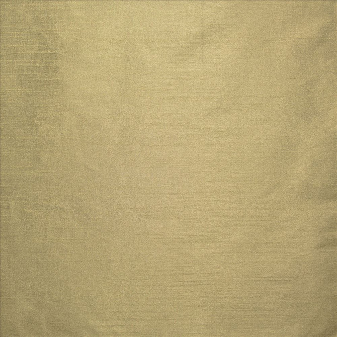 Complementary Truffle  by Kasmir Designer Fabric 5168 100% Polyester
 INDIA Not Tested Horizontal: N/A and Vertical: N/A 54  - Swanky Fabrics -