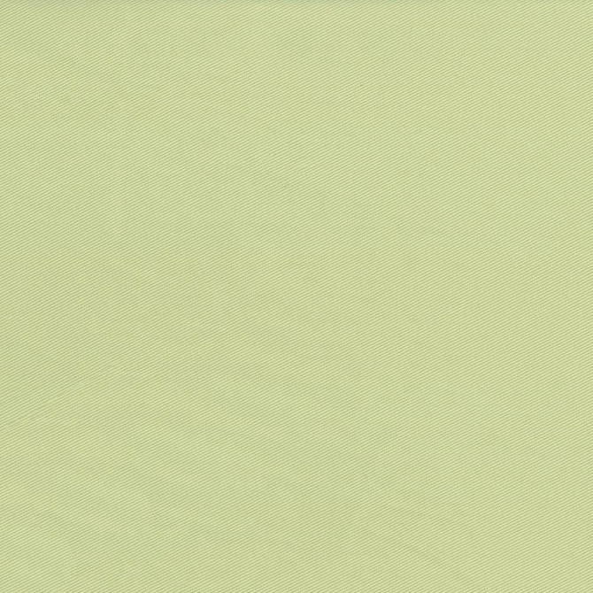 Docksider Greenhouse by Kasmir Designer Fabric 5057 100% Cotton
 USA </p><p>Repeat: Horizontal: N/A and Vertical: N/A 57 - 58 - Swanky Fabrics -