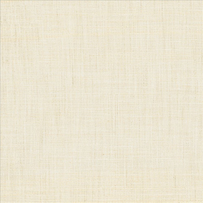 Evangeline Starlight by Kasmir Designer Fabric 1461 72% Polyester
19% Cotton
9% Rayon
 INDIA 30,000 Wyzenbeek Double Rubs </p><p>Repeat: Horizontal: N/A and Vertical: N/A 56 - Swanky Fabrics -