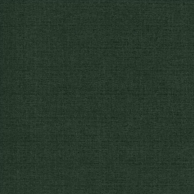 Flynn Forest  by Kasmir Designer Fabric 5164 91% Polyester
9% Nylon
 CHINA 100,000 Wyzenbeek Double Rubs Horizontal: N/A and Vertical: N/A 54  - Swanky Fabrics -