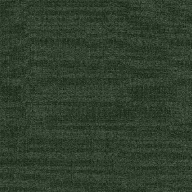 Flynn Forest by Kasmir Designer Fabric 5164 91% Polyester
9% Nylon
 CHINA 100,000 Wyzenbeek Double Rubs </p><p>Repeat: Horizontal: N/A and Vertical: N/A 54 - Swanky Fabrics -