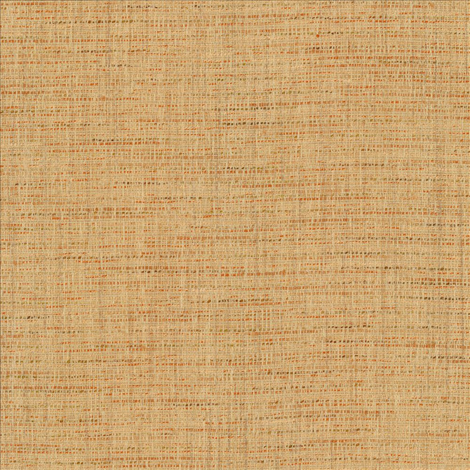 Integrity Adobe by Kasmir Designer Fabric 5171 66% Polyester
22% Olefin
12% Cotton
 USA </p><p>Repeat: Horizontal: N/A and Vertical: N/A 54 - Swanky Fabrics -