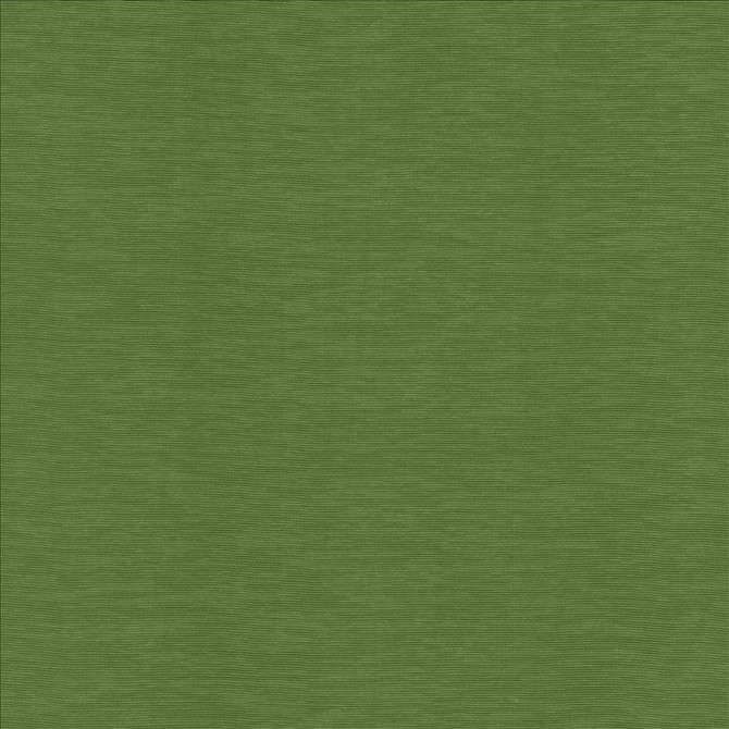 Lucinda Grass by Kasmir Designer Fabric 5166 72% Rayon
28% Polyester
 CHINA </p><p>Repeat: Horizontal: N/A and Vertical: N/A 54 - Swanky Fabrics -