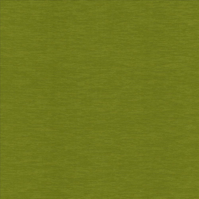 Lucinda Kiwi by Kasmir Designer Fabric 5166 72% Rayon
28% Polyester
 CHINA </p><p>Repeat: Horizontal: N/A and Vertical: N/A 54 - Swanky Fabrics -